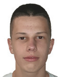 Vinko Vardić
